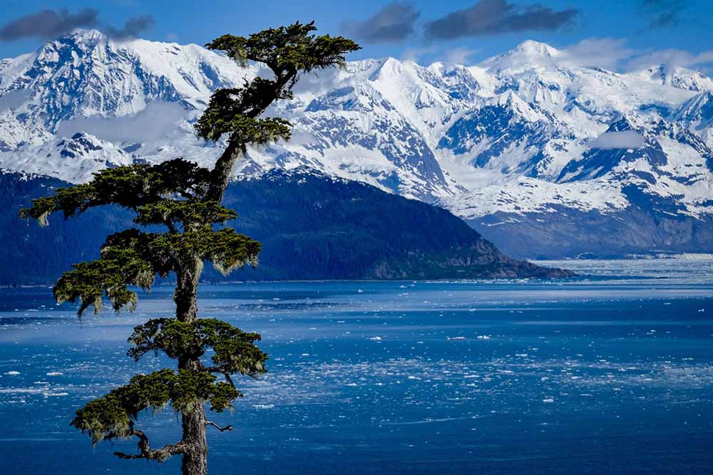 Glacier Island view
